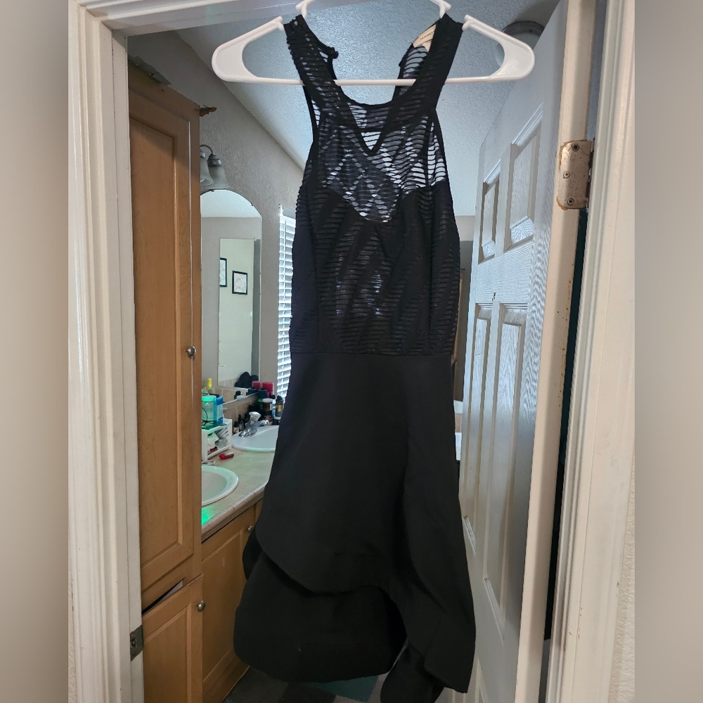 Elegant Black Mesh Dress